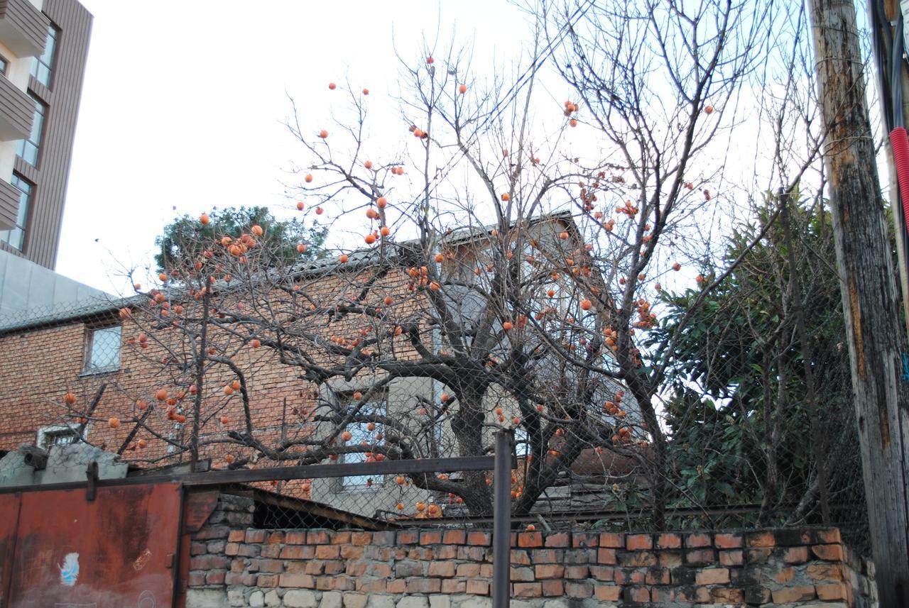 Crosswindow Daire Tiflis Dış mekan fotoğraf